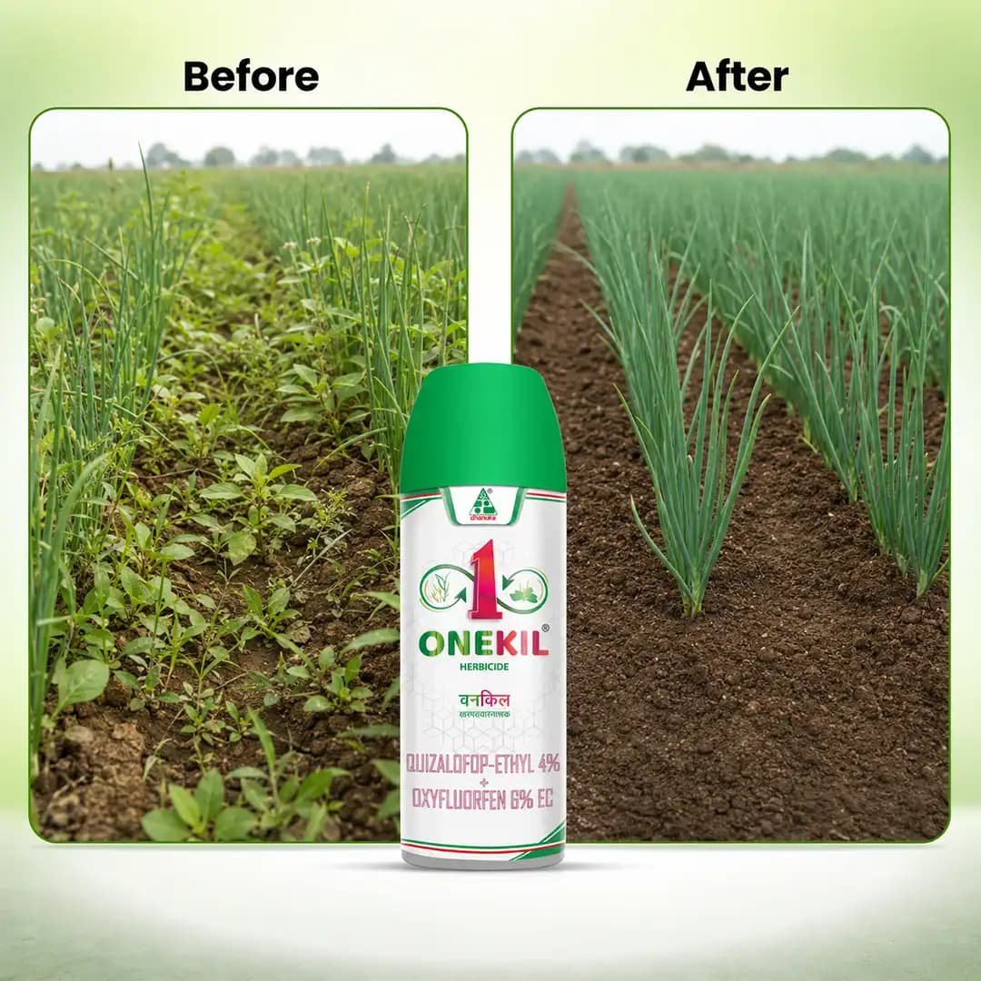 Onekil Herbicide - Quizalofop Ethyl 4% + Oxyfluorfen 6% EC - Image 3