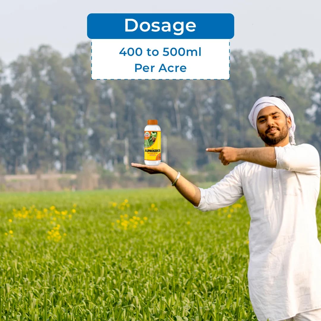 EBS Alphosides Insecticide - Quinalphos 25% EC - Image 6