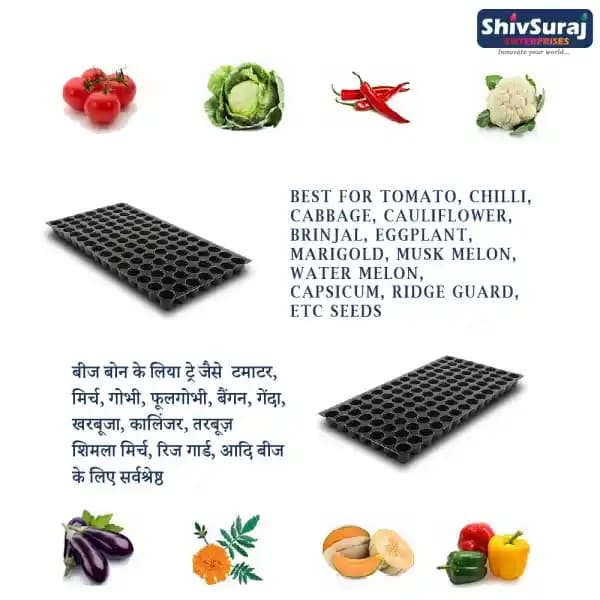 Shivsuraj 126 Cavity Seedling Tray Square Shape Hole Germination Tray, Nursery Tray, For Sowing Seeds - Image 11