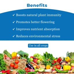 PerfoSil Ecocert Certified Plant Immunity & Yield Booster of Plants, Bio Available Stabilized Silica 3%, Sorbitol 15% 4