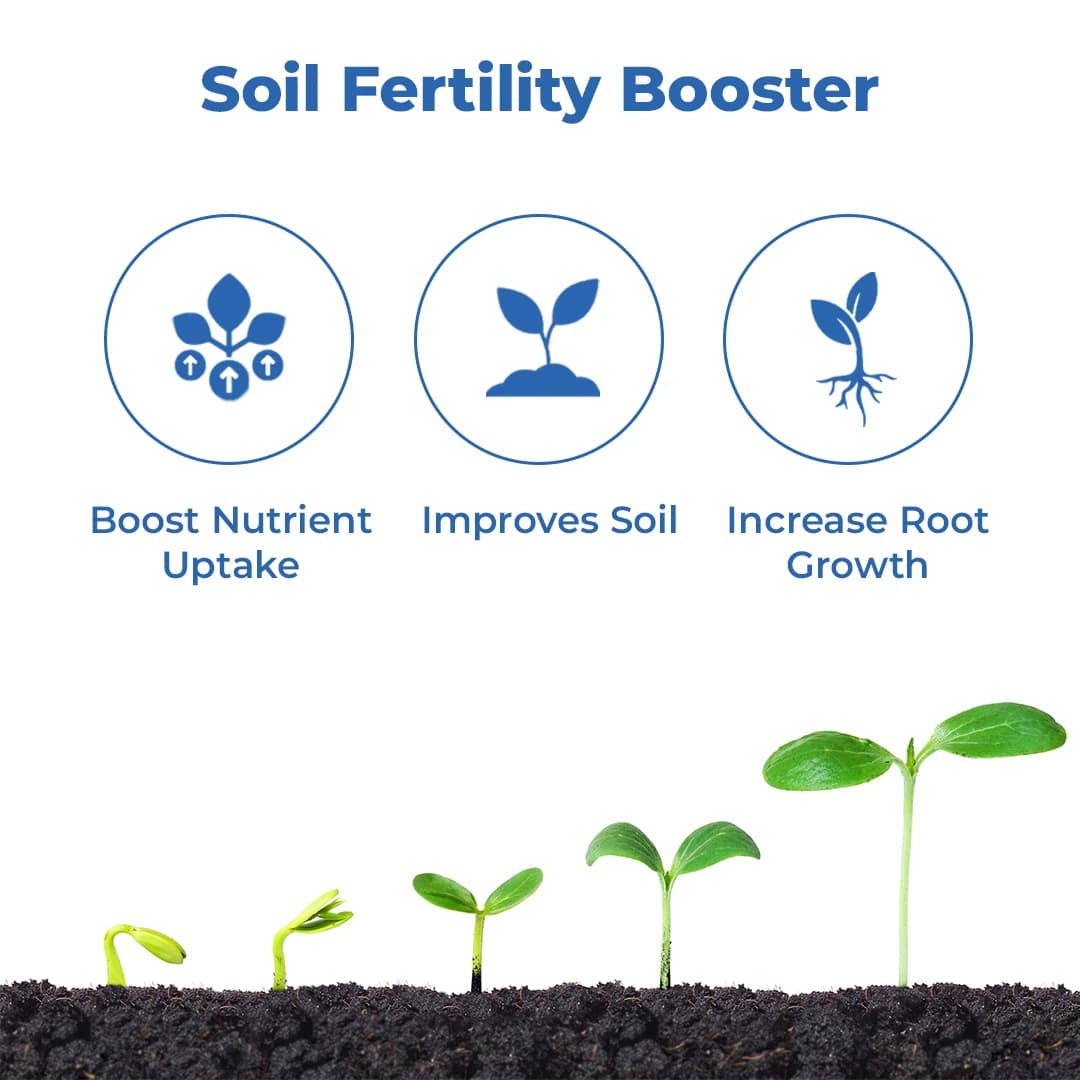 एग्रीबेग्री ह्यूमिक एसिड 98% (सुपर पोटैशियम ह्यूमेट), ढीला बैग पैकिंग, मिट्टी को सुधारने में मदद करता है, पौधों की वृद्धि के लिए। - Image 3