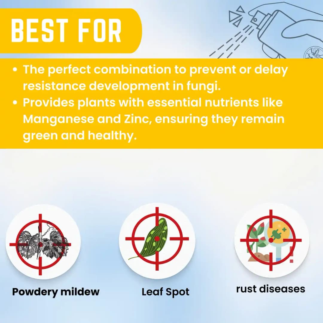 कात्यायनी के-टी-एम थायोफेनेट मेथाइल 70% डब्ल्यूपी, फफूंदनाशक - पौधों में आई स्पॉट, चूर्णिल आसिता,झुलसा ग्रे मोल्ड और एप्पल पपड़ी रोग नियंत्रण के लिए - Image 9
