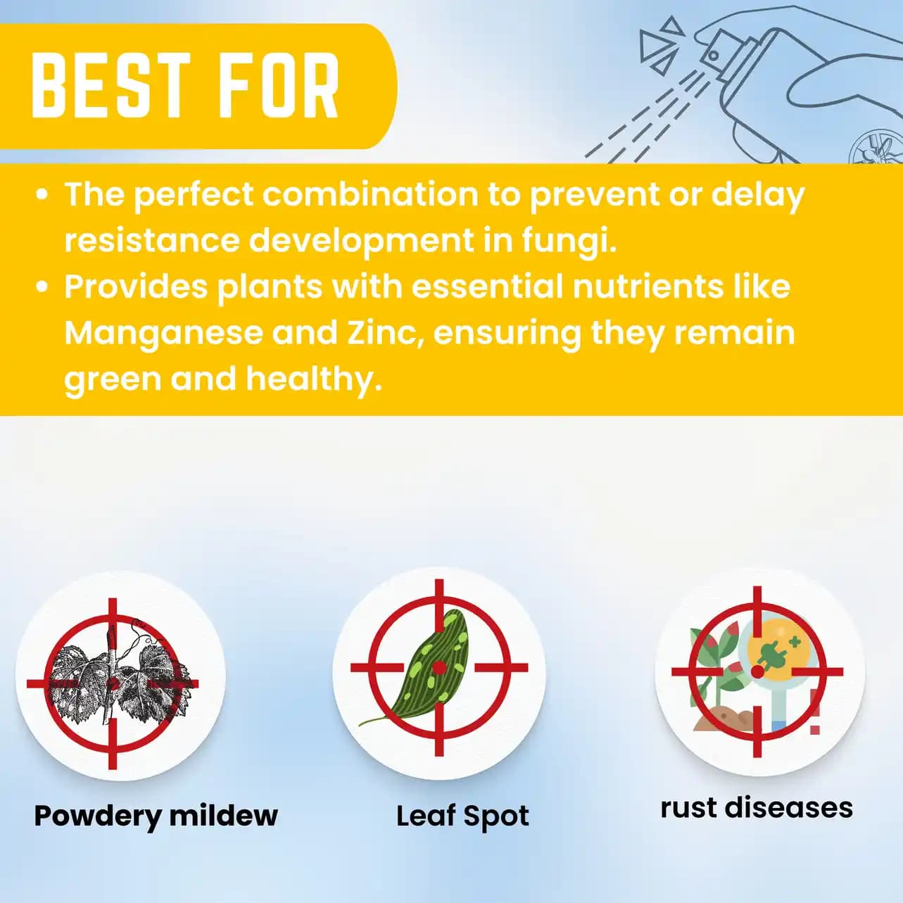 Katyayani KTM Fungicide - Thiophanate Methyl 70 % WP - Image 9