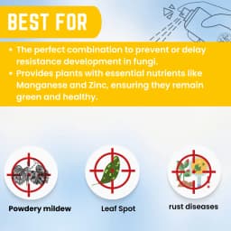 कात्यायनी के-टी-एम थायोफेनेट मेथाइल 70% डब्ल्यूपी, फफूंदनाशक - पौधों में आई स्पॉट, चूर्णिल आसिता,झुलसा ग्रे मोल्ड और एप्पल पपड़ी रोग नियंत्रण के लिए 9