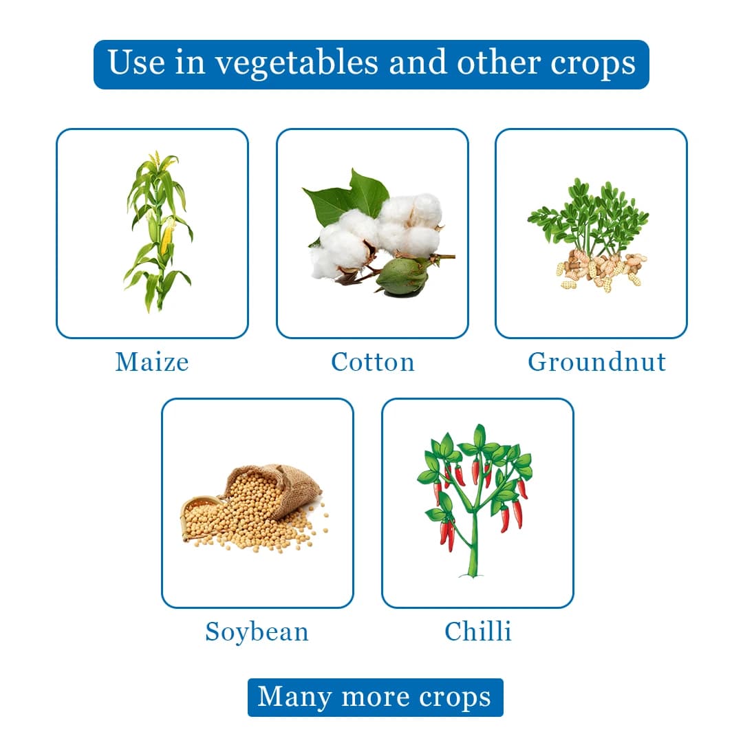 Arion Insecticide - Thiamethoxam 12.6% + Lambda Cyhalothrin 9.5% ZC - Image 4