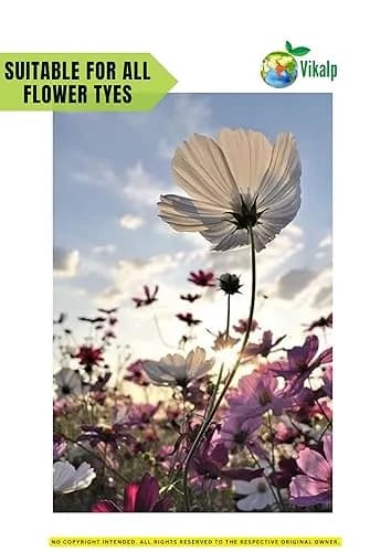 Vikalp Premium Seaweed Fertilizer Perfect Organic Fertilizer for Indoor and Outdoor Plants & All Types of Crops - Image 8