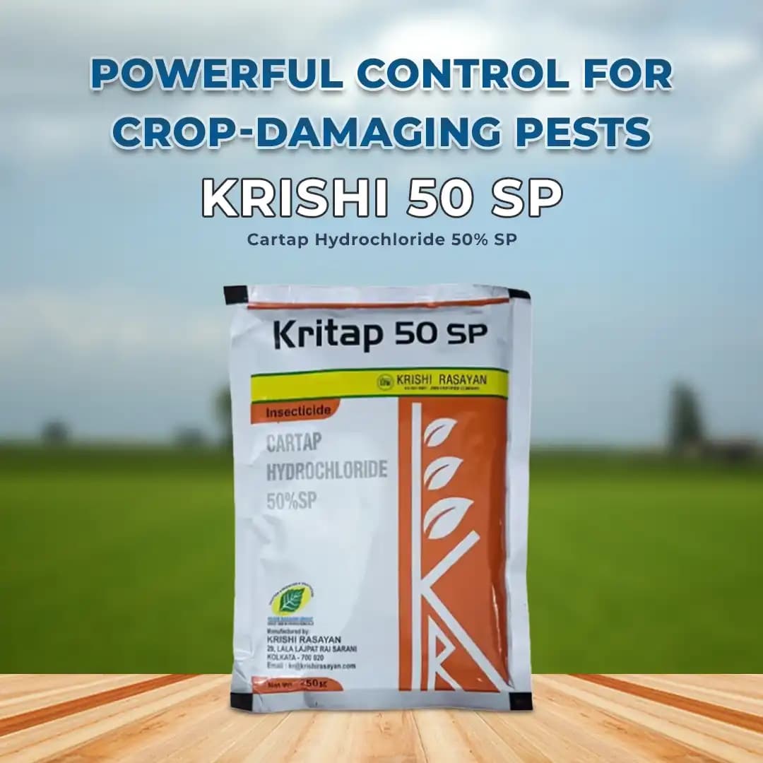 Krishi Rasayan Kritap 50 Cartap Hydrochloride 50% SP Insecticide, It Controls All Stages Of Insects. - Image 2
