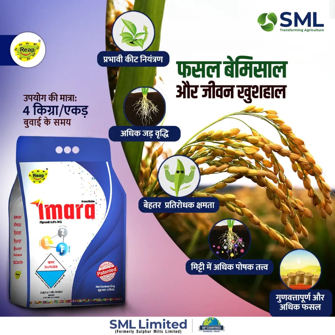 SML Imara Insecticide - Image 6
