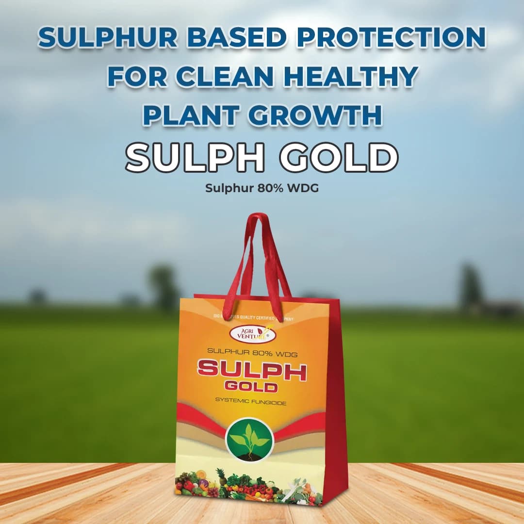 Agriventure Sulph Gold (Sulphur 80% WDG) Contact Fungicide, Used for the Control of Powdery Mildew For Grapes and Mango - Image 2