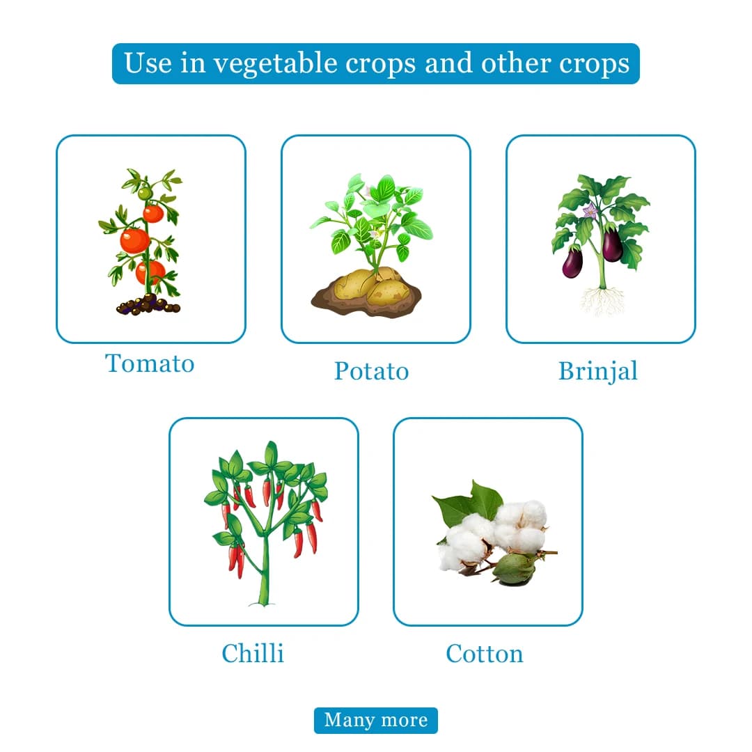 क्रिस्टल क्योतो (एज़ोक्सीस्ट्रोबिन 11% + टेबुकोनाजोल 18.3% एससी) फफूंदनाशक, फफूंद संक्रमण के विभिन्न चरणों पर नियंत्रण। - Image 4