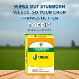 Thakar Chemicals TOEDIS Tembotrione 34.4% SC Herbicide, Post Emergence, Broad-Spectrum, Efficient For Broadleaf And Grassy Weeds In Corn 2