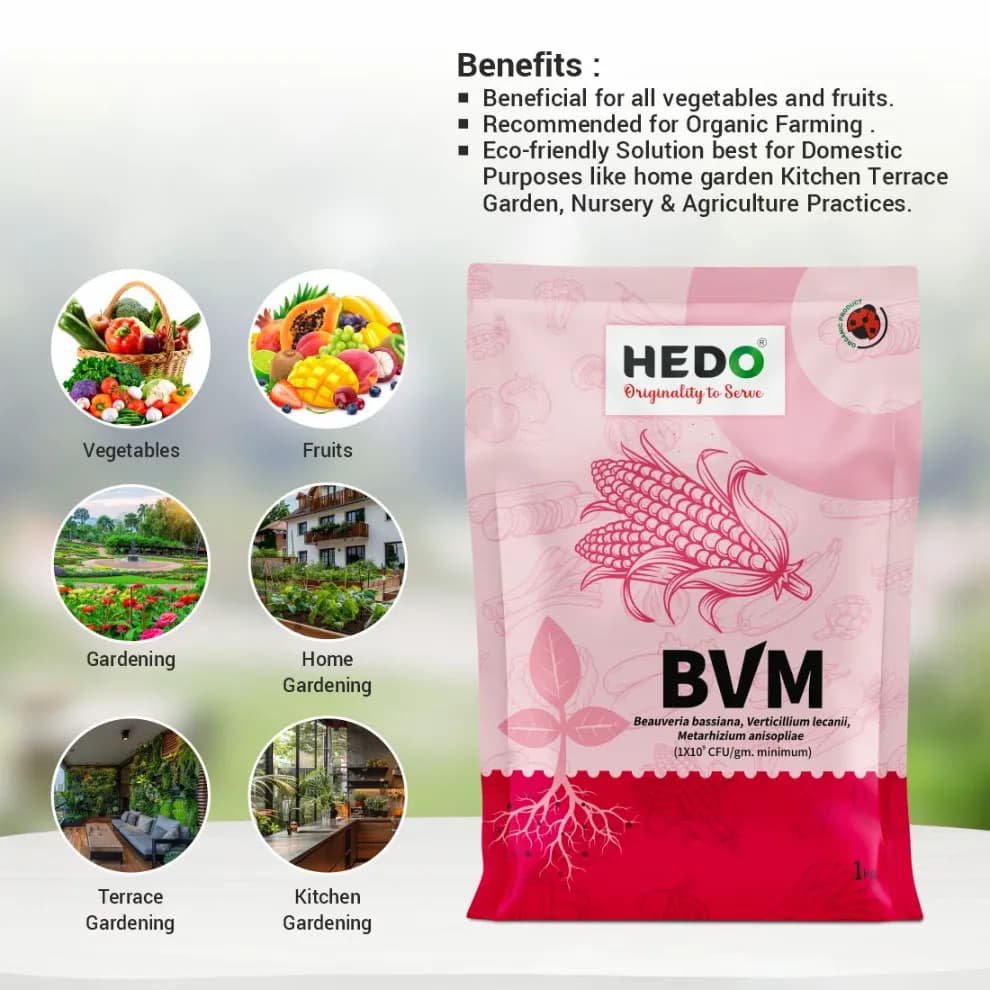 HEDO BVM (Beauveria bassiana + Verticillum Lecanii + Metarhizium Anisopliae) Powder For Agriculture, Garden & All Crops To Control Aphids - Image 3