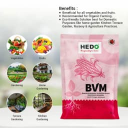 HEDO BVM (Beauveria bassiana + Verticillum Lecanii + Metarhizium Anisopliae) Powder For Agriculture, Garden & All Crops To Control Aphids 3