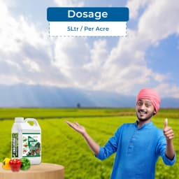 CHILLI GROW Amruth Chilli Microbial Consortia-ACC, Chili Special, Best For Plant Development 5