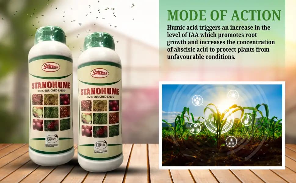 T Stanes Stanohume (12% HA) Plant Growth Regulator, Improves The Structure of the Soil and Increases Water Retention, Use for Home Garden and Plants - Image 3