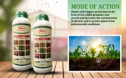 T Stanes Stanohume (12% HA) Plant Growth Regulator, Improves The Structure of the Soil and Increases Water Retention, Use for Home Garden and Plants 3