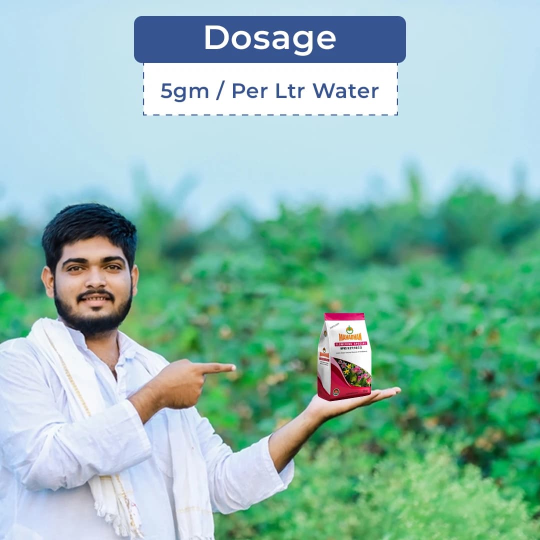 Mahadhan Flowering Special Fertilizer NPKS 9:27:18:7.5 , 100% Water Soluble Mixture Fertilizer, Use for All crops. - Image 5