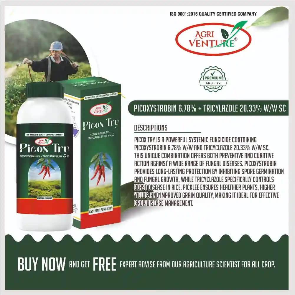 Agriventure Picox Try Picoxystrobin 6.78% + Tricyclazole 20.33% SC Fungicide - Image 2