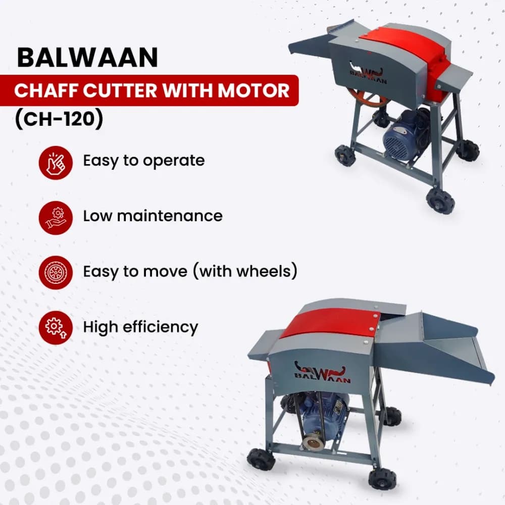 Balwaan CH-120 Chaff Cutter Machine With Motor and 4 Pcs of Blade (6 Months Warranty) - Image 5