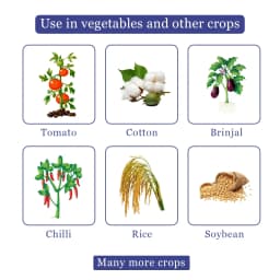 Agriventure Emabenz Silver (Emamectin Benzoate 1.9% EC) Worms And Caterpillar Control Insecticide 4