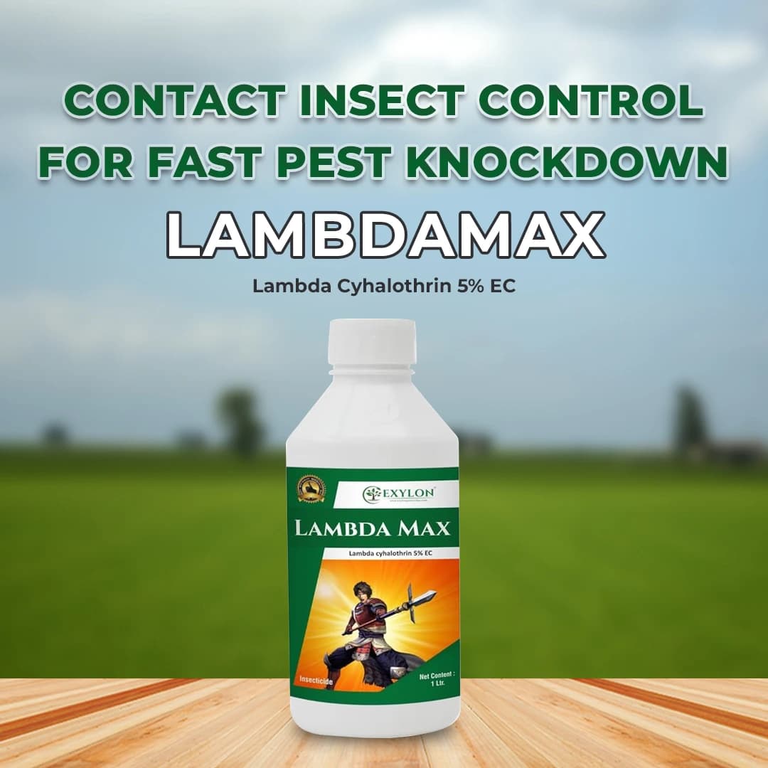 Exylon LambdaMax Lambda Cyhalothrin 5% EC Insecticide, Fast Knockdown And Lasting Control Of Bollworms, Aphids And Whiteflies In Crops - Image 2