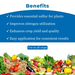 Cubic Smile, Sulphur 90% Powder, Micronutrient Fertilizers Which is Readily Dispersible In Water 4