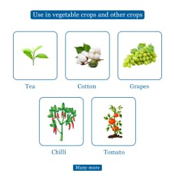 Dhanuka EM-1 Emamectin Benzoate 5% SG Insecticide, Contact And Stomach, Effective Control Caterpillars In Crops 4