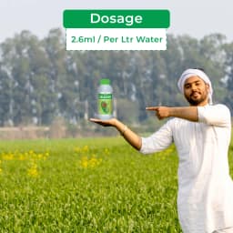 IIL Selector Imazethapyr 10% SL Herbicide , For Groundnut And Soybean Crops 5