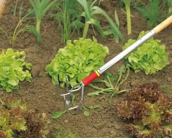 Wolf Garten Tine Cultivator (IE-M) 10 cm, Tine Cultivator Weeder For Gardening (Without Handle) - Image 2