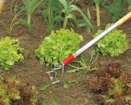 Wolf Garten Tine Cultivator (IE-M) 10 cm, Tine Cultivator Weeder For Gardening (Without Handle) 2
