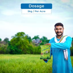 Noble Zyme Unique Soil Conditioner, Improves Soil Humidity Structure and Viability, Suitable For All Kinds Of Crops 5