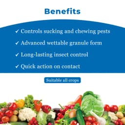 Gharda Quartz Fipronil 80% WG Insecticide, Effective Control Of Stem Borer and Leaf Folder In Rice 4