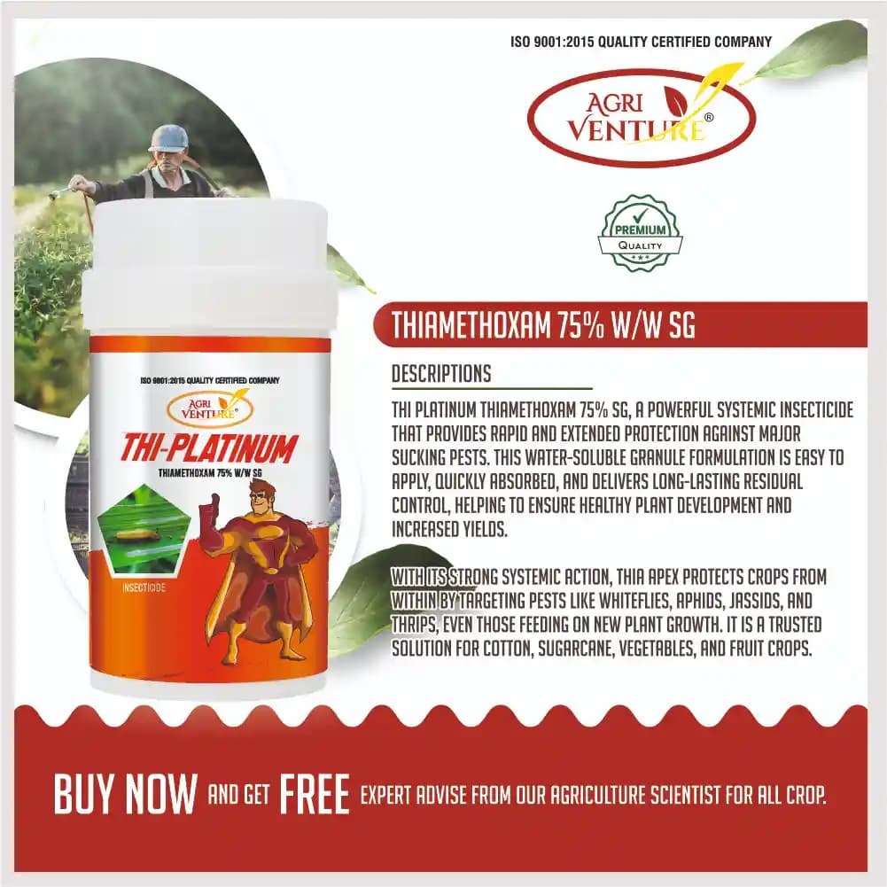 Agriventure THI-PLATINUM Thiamethoxam 75% SG Insecticide, Protection Against Major Sucking Pests - Image 2
