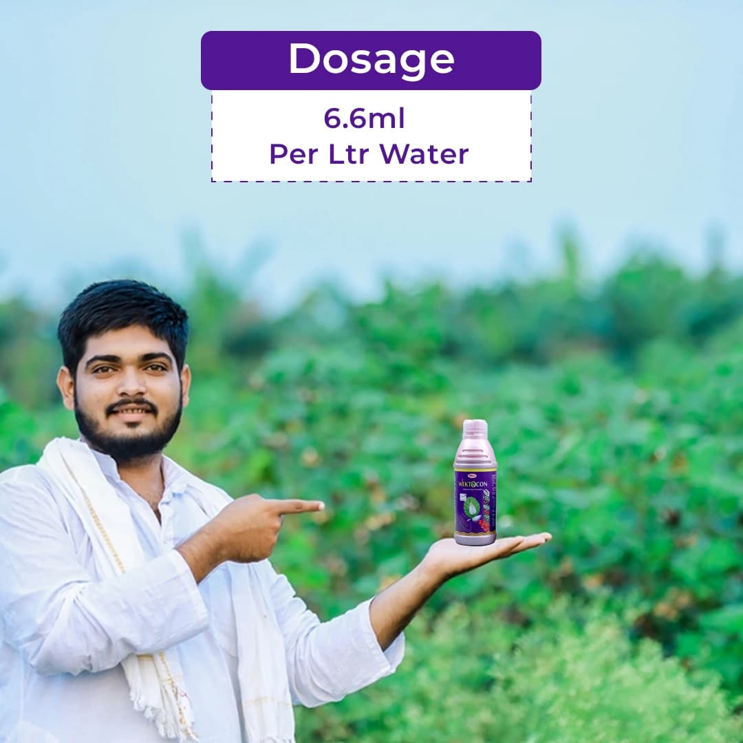 टी.स्टेन्स वेक्टोकॉन एज़ाडिरैक्टिन 0.3% सामग्री 3000 पीपीएम, नीम आधारित उत्पाद - Image 5