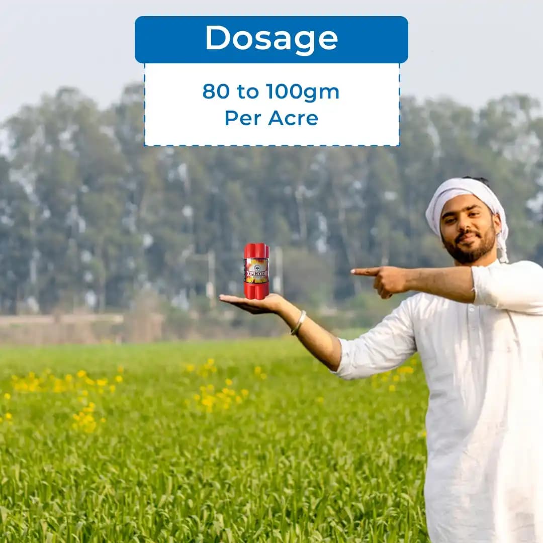 IIL Xplode Insecticide - Image 5