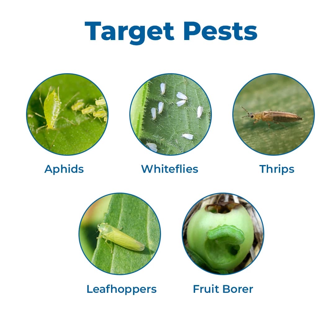 HEDO Solar Mini Chargeable Insect Light Trap, Solar Insect Killer Trap To Control Flying Insect - Image 4