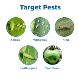 हेडो सोलर मिनी चार्जेबल कीट लाइट ट्रैप, सोलर कीट मारने वाला जाल उड़ने वाले कीटों के नियंत्रण के लिए 3