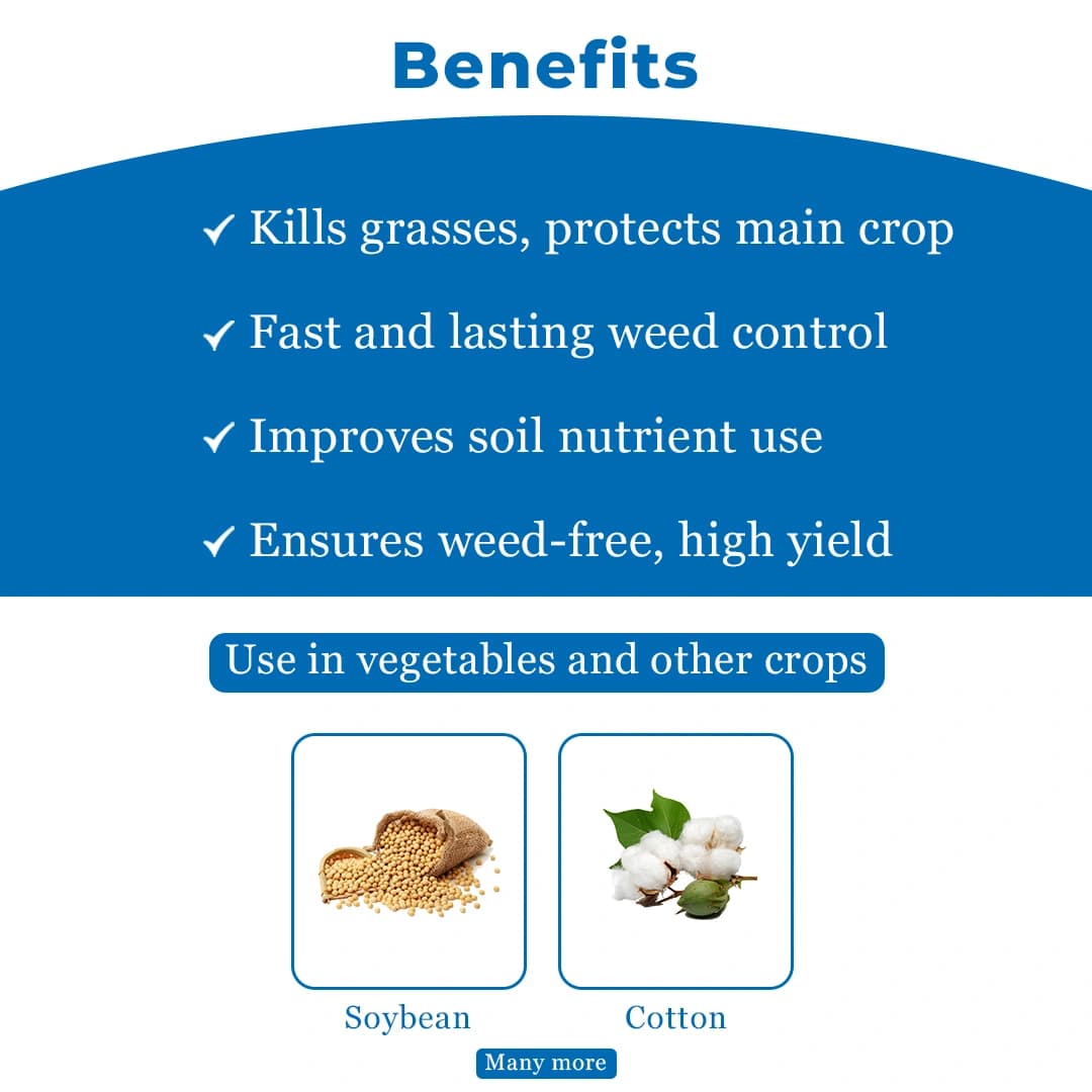 Dhanuka Targa Super Quizalofop Ethyl 5% EC Herbicide, Selective Systemic For Broadleaf Crops - Image 4