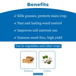 Dhanuka Targa Super Quizalofop Ethyl 5% EC Herbicide, Selective Systemic For Broadleaf Crops 4