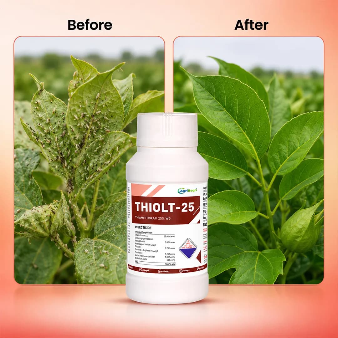 Thiolt-25 Insecticide - Thiamethoxam 25% WG - Image 6