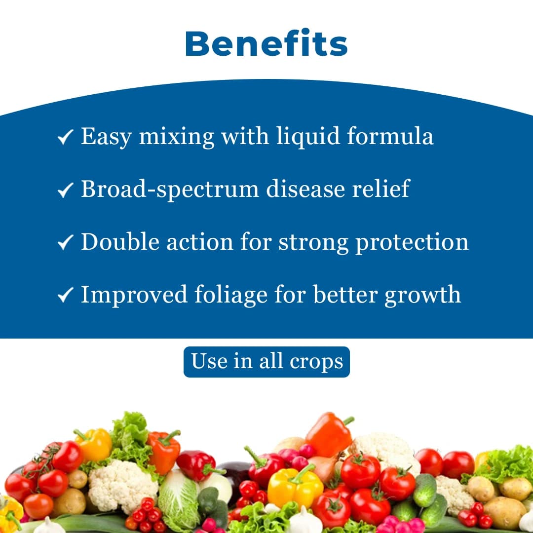 Ju Azole Azoxystrobin 18.2% + Difenoconazole 11.4% SC Fungicide, Broad-Spectrum, Disease Control In All Crops - Image 4