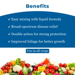Ju Azole Azoxystrobin 18.2% + Difenoconazole 11.4% SC Fungicide, Broad-Spectrum, Disease Control In All Crops 4