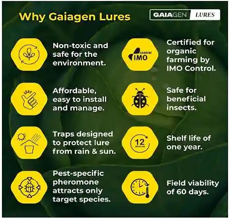 Gaiagen Diamondback Moth Pheromone Lure for Plutella xylostella, IMO Certified. - Image 3