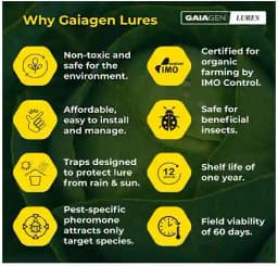 Gaiagen Diamondback Moth Pheromone Lure for Plutella xylostella, IMO Certified. 3