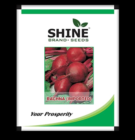 Beet Root Rachna Imported - Shine Brand Seed, Salgum Beej, Fruit Salad, High Yielding Variety - Image 1