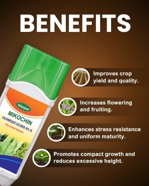 Katyayani Mikochin Chlormequat Chloride 50% SL Plant Growth Regulator for Vegetables, Fruits, and Crops - Image 3