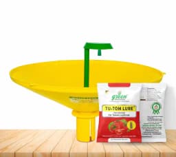 Water Pheromone Trap With TU-TOM Pheromone Lure (Tuta Absoluta ,Tomato Leafminer) for Tomato, Cherry Tomato, and Potato. 5