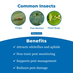 ग्रीन रेवोलुशन वाइट स्टिकी ट्रैप्स, ए4 साइज, फ्लावर थ्रिप्स और ब्लैक थ्रिप्स के लिए उपयोग करें। 3