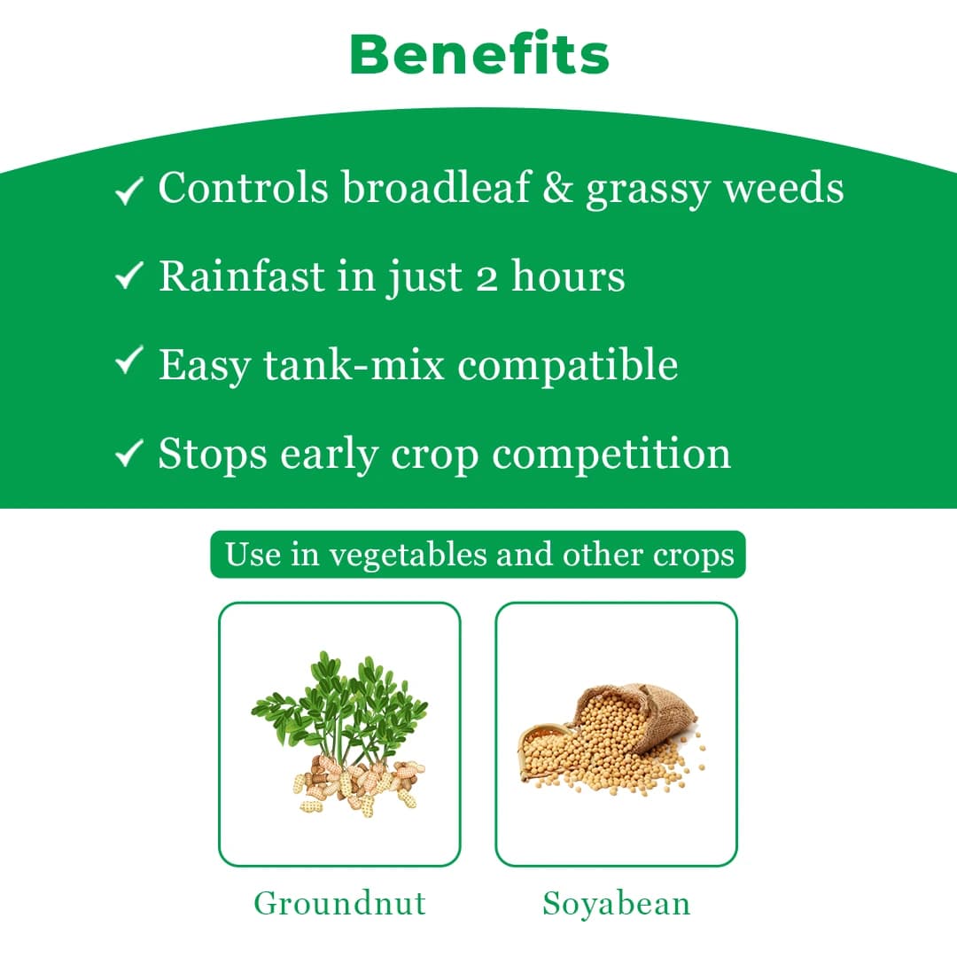 IIL Selector Herbicide - Image 4