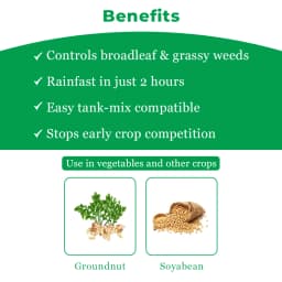 IIL Selector Imazethapyr 10% SL Herbicide , For Groundnut And Soybean Crops 4